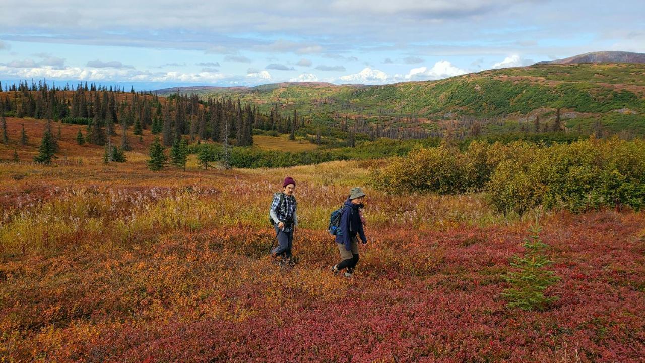 Caribou Lodge Alaska Talkeetna Buitenkant foto