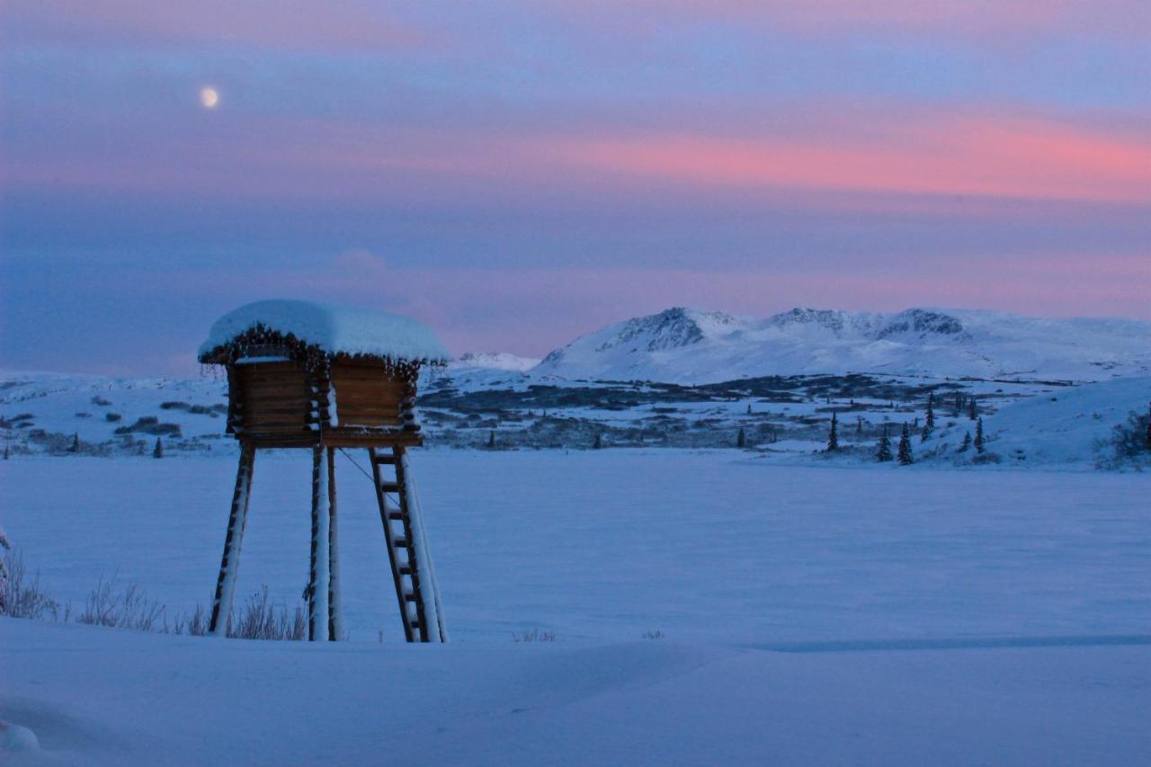 Caribou Lodge Alaska Talkeetna Buitenkant foto
