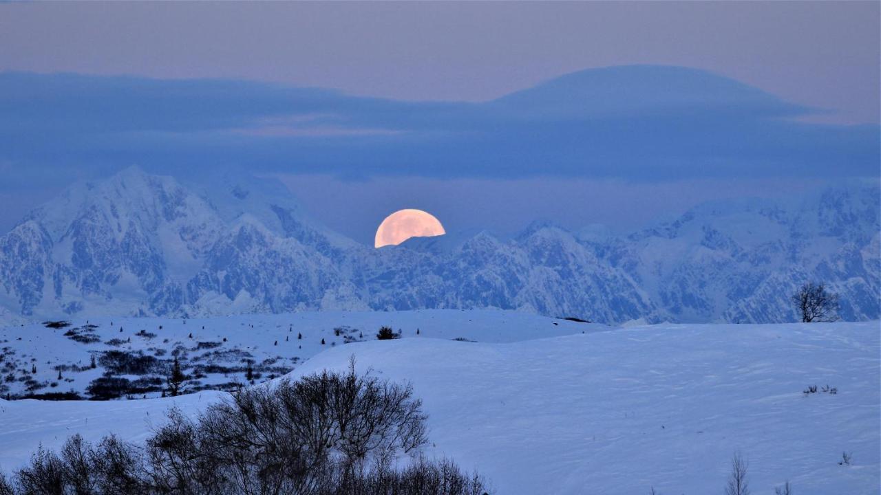 Caribou Lodge Alaska Talkeetna Buitenkant foto