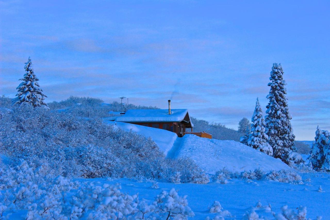 Caribou Lodge Alaska Talkeetna Buitenkant foto